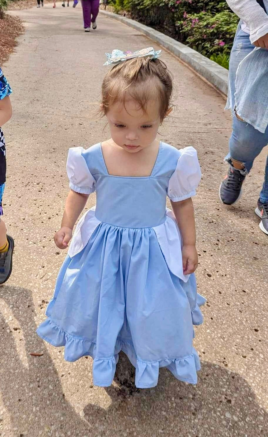 Glass Slipper Inspired Dress