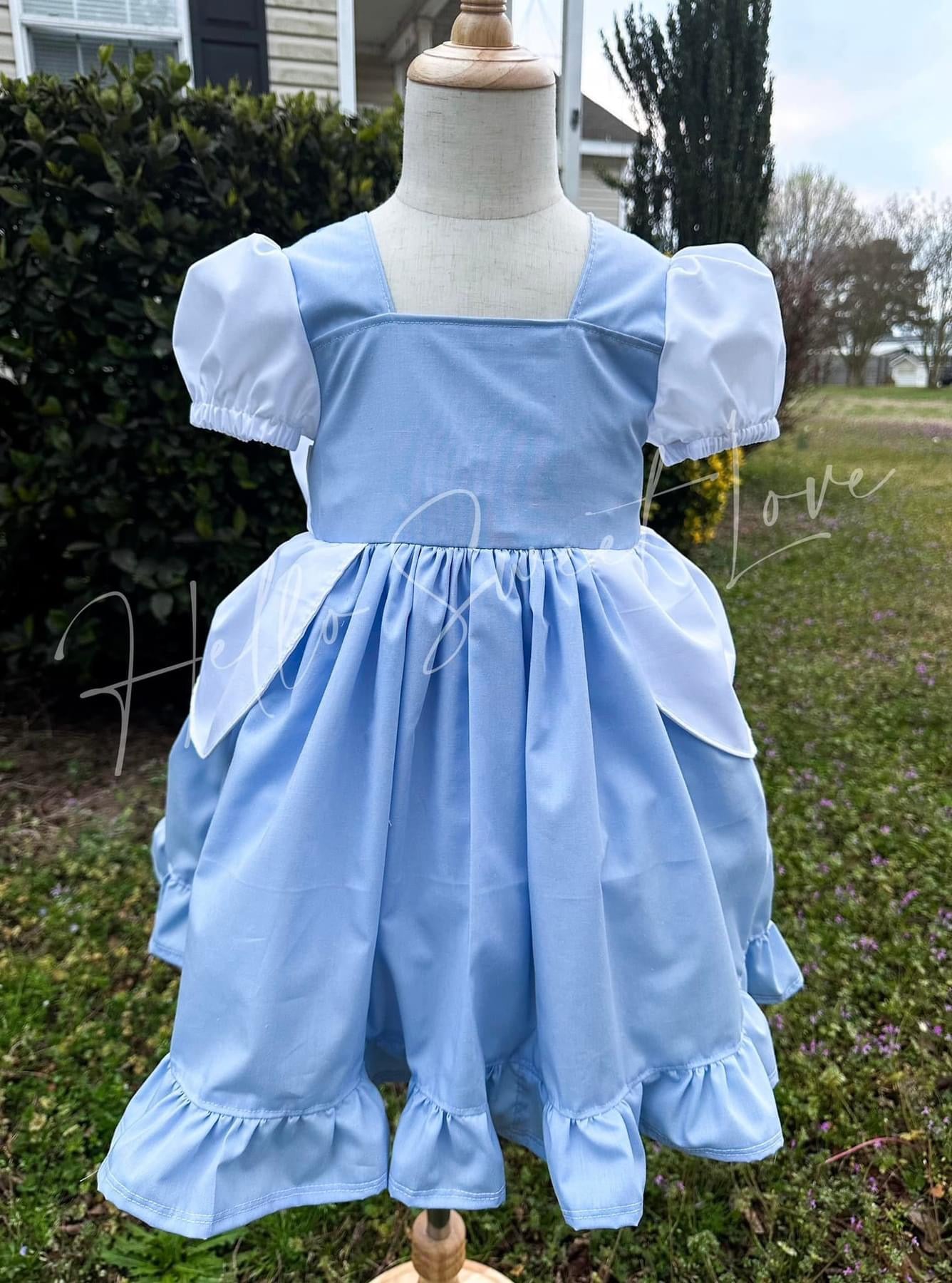 Glass Slipper Inspired Dress