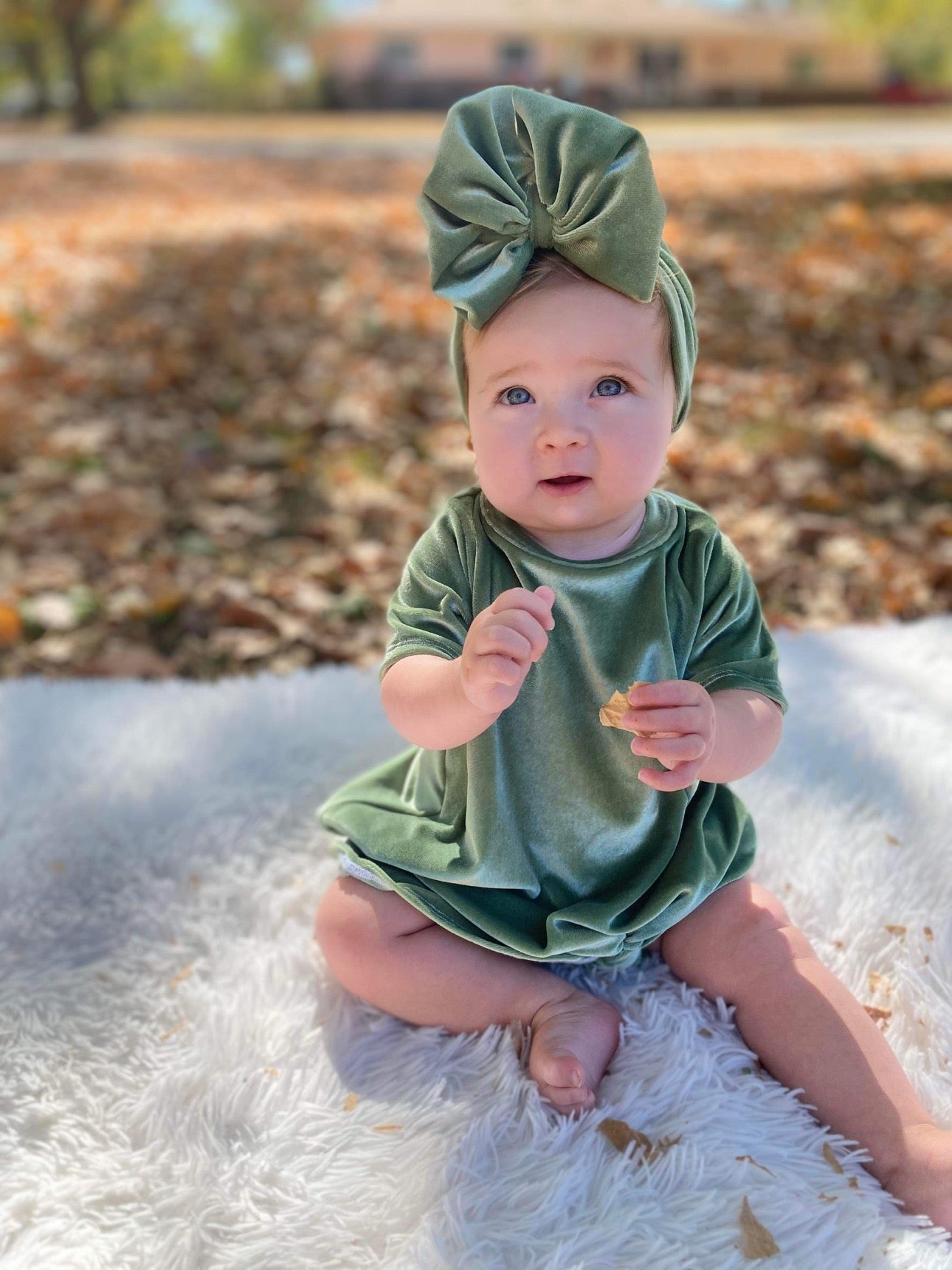 Sage Velvet: Tshirt Dress